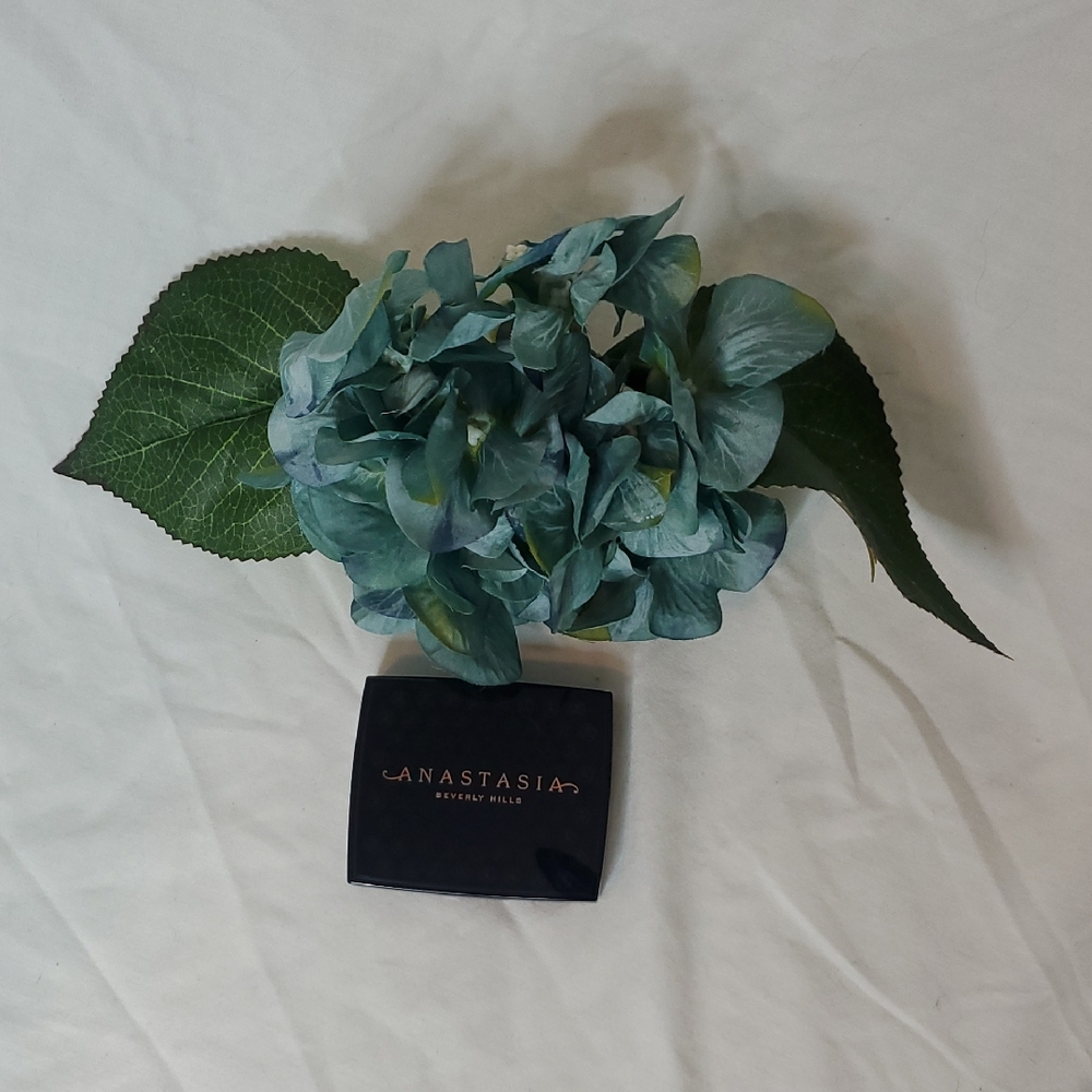 Anastasia Beverly Hills Black Compact